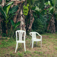 Baile Inolvidable (remix) - Bad Bunny - cover CD